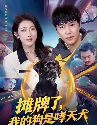 摊牌了，我的狗是哮天犬（98集全）刘晨宇＆张如意 - 海之城短剧