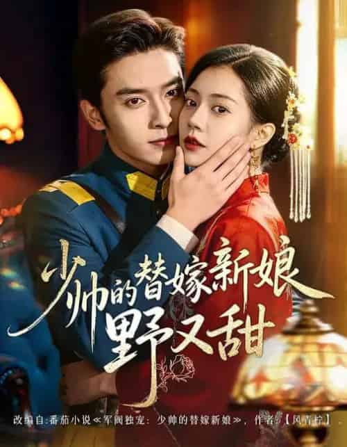 少帅的替嫁新娘野又甜（60集全）王博＆孙婉晴-海之城短剧项目