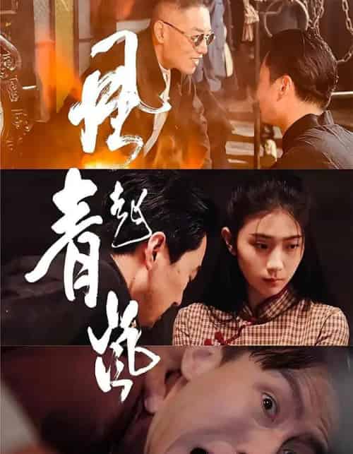风起青岚（96集） - 海之城短剧
