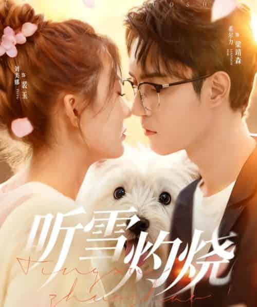 听雪灼烧（68集全）希尔力＆刘美娜-海之城短剧项目