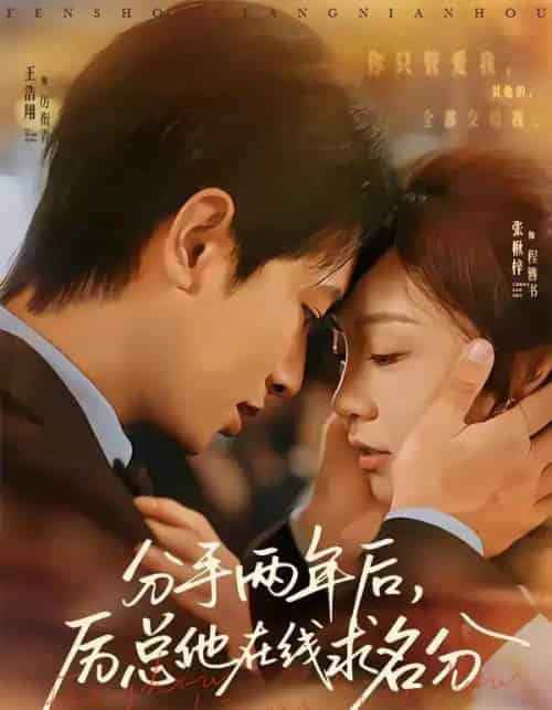 分手两年后，厉总他在线求名分（70集全）王浩翔＆张楸梓-海之城短剧项目