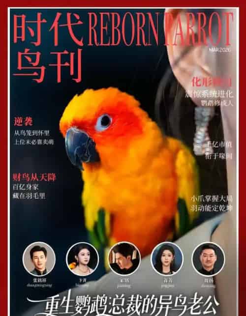 重生鹦鹉：总裁的异鸟老公（80集全）卞菁＆郭嘉铭-海之城短剧项目