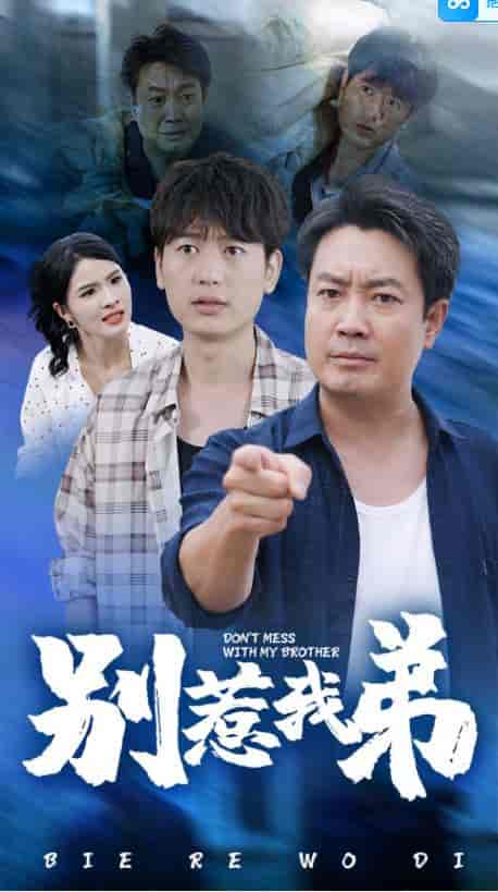 别惹我弟（60集全） - 海之城短剧