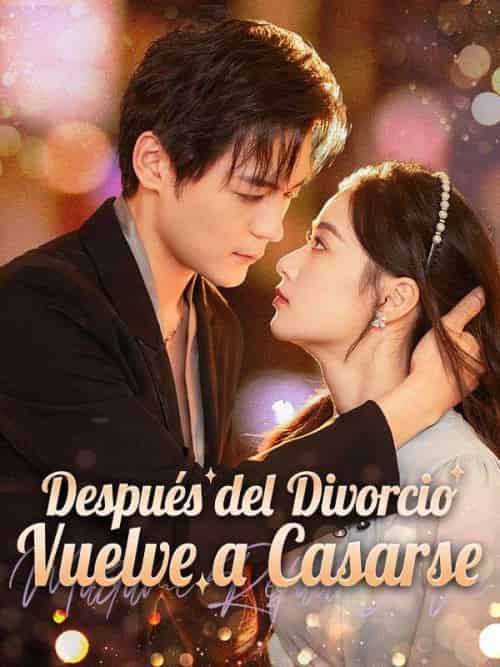 Después del Divorcio, Vuelve a Casarse Después del Divorcio, Vuelve a Casarse