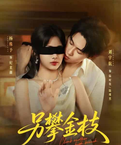 另攀高枝（60集）刘宇航＆杨殊予-海之城短剧项目