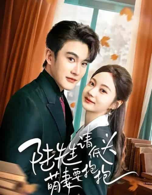 陆先生请低头萌妻要抱抱（51集全）陈天晓＆曾和惠子-海之城短剧项目