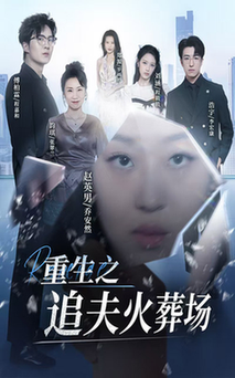 重生之追夫火葬场（35集全） - 海之城短剧