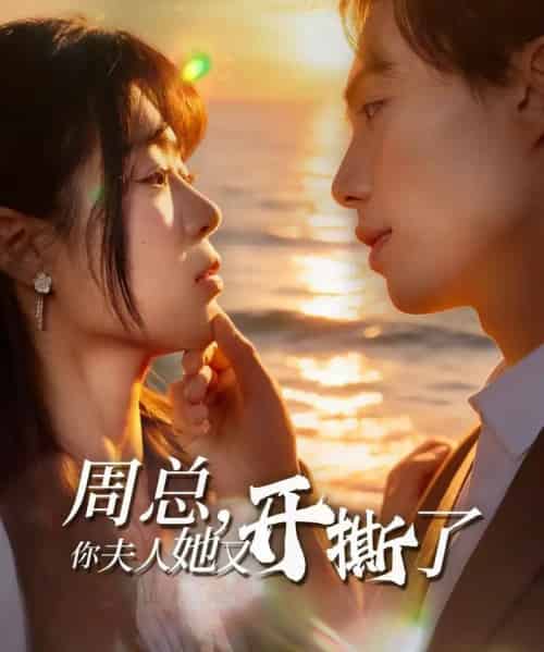 周总，你夫人她又开撕了（45集全）张航＆张梦薇-海之城短剧项目