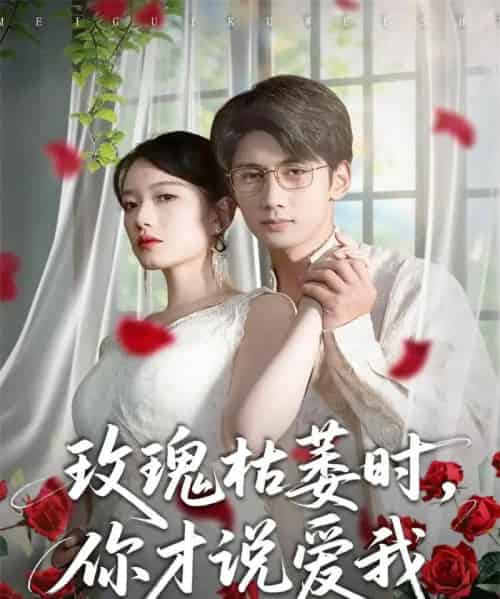玫瑰枯萎时，你才说爱我（100集全）龚钦玥＆唐治璇-海之城短剧项目