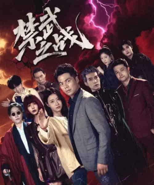 禁武之战＆隐世多年天下霸主还是我（60集全）-海之城短剧项目