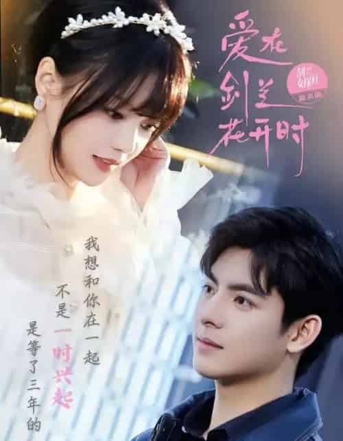 爱在剑兰花开时（56集全）王皓轩＆陈思予-海之城短剧项目