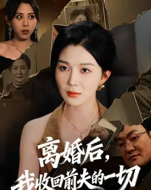 离婚后，我收回前夫的一切（71集全）孔莹莹-海之城短剧项目