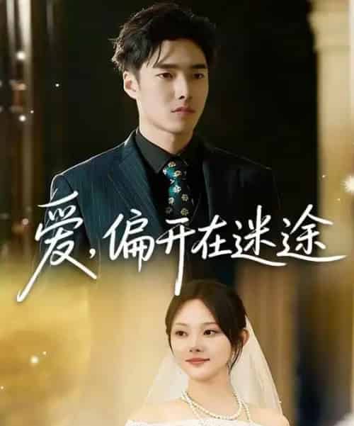 爱，偏开在迷途（63集全）林非梵＆张啸昂-海之城短剧项目