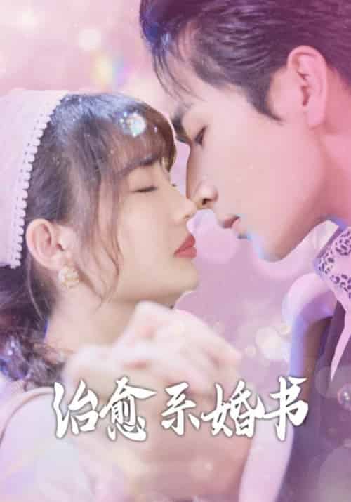 治愈系婚书（80集全） - 海之城短剧