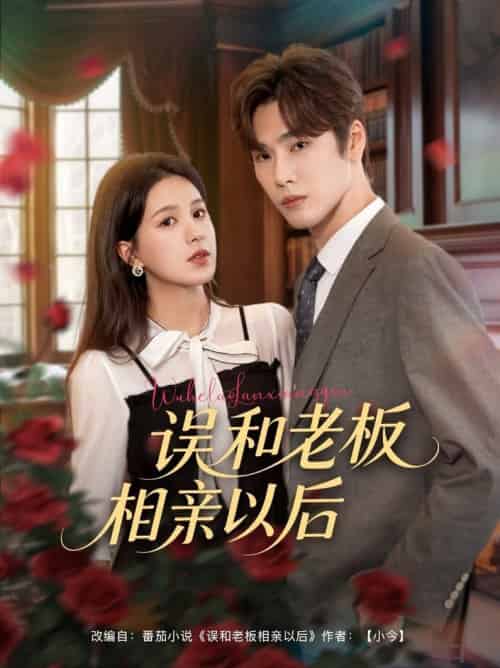 误和老板相亲以后（80集全）鹿鸣＆方思畅 - 海之城短剧