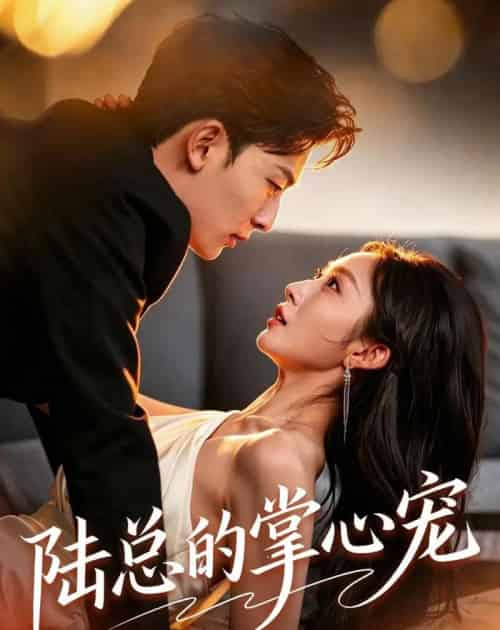 陆总的掌心宠（85集全）宋佳音＆朱永强-海之城短剧项目