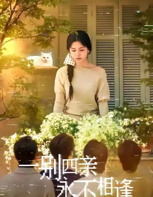 一别四亲永不相逢（65集全）彭剑雄＆咪咔-海之城短剧项目