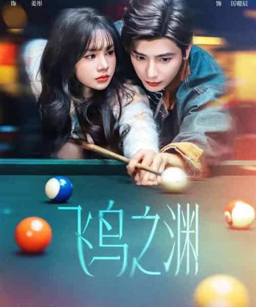 飞鸟之渊（67集全）何聪睿＆刘念-海之城短剧项目