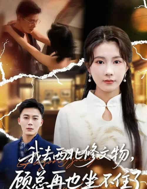 我去西北修文物，顾总再也坐不住了（46集全）曹嘉怡＆戴金鳞-海之城短剧项目