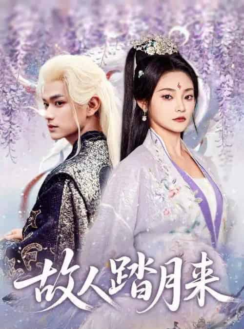 故人踏月来（60集全）张渊元＆塔瓦娜-海之城短剧项目