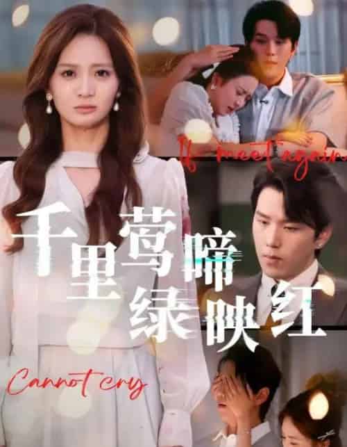 千里莺啼绿映红（63集全）罗嘉麒＆刘美娜-海之城短剧项目