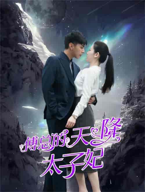 傅总的天降太子妃（86集） - 海之城短剧