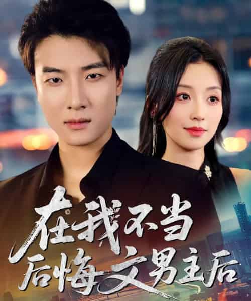 在我不当后悔文男主后（85集）唐之斐＆张翊轩-海之城短剧项目