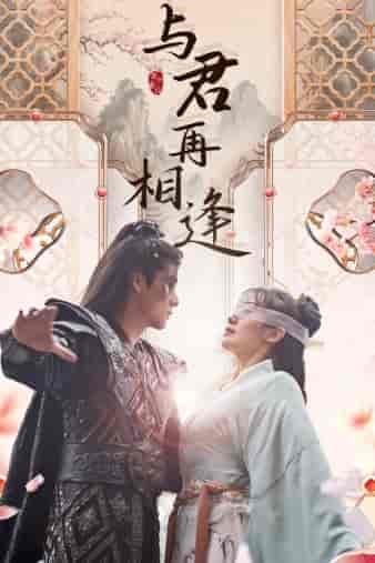 与君再相逢（70集） - 海之城短剧