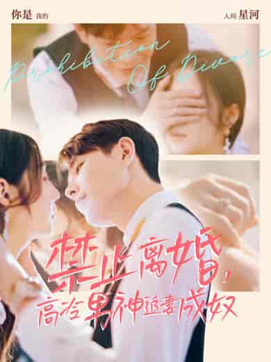 禁止离婚，高冷男神追妻成奴（57集全）王鑫＆秦语喃 - 海之城短剧