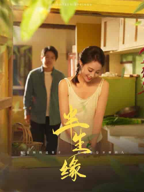 新版:半生缘 新版:半生缘