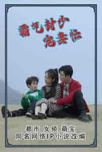 霸气封少宠妻忙（80集） - 海之城短剧