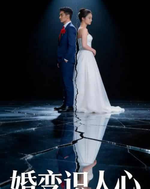 婚变识人心（54集全）AI-海之城短剧项目