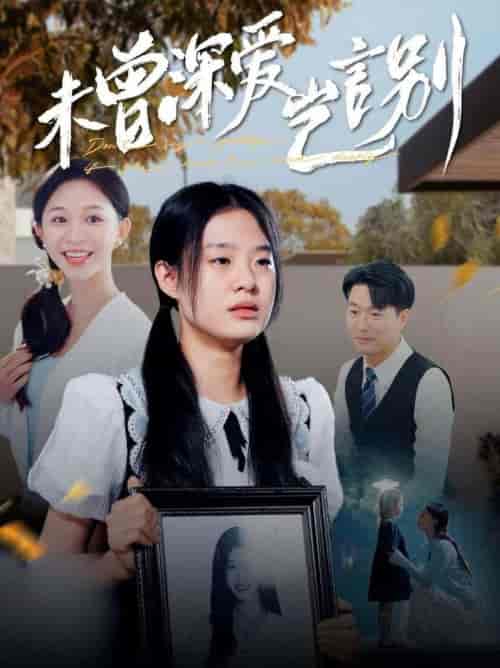 未曾深爱岂言别（80集全）韩录锦 - 海之城短剧