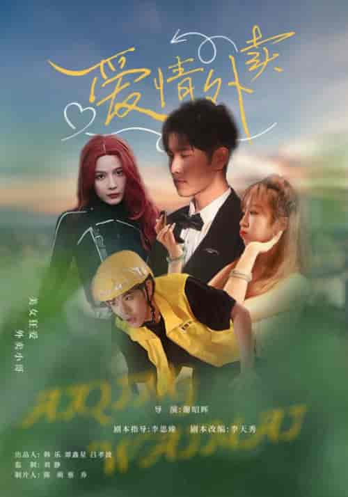爱情外卖（31集全）卫大宝＆苏敏 - 海之城短剧