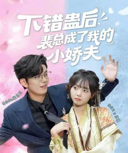 下错蛊后，裴总成了我的小娇夫（62集全）徐佳伟＆陈舒宜-海之城短剧项目