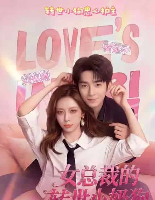 女总裁的转世小奶狗（30集全）程钲中＆刘祖嫣-海之城短剧项目