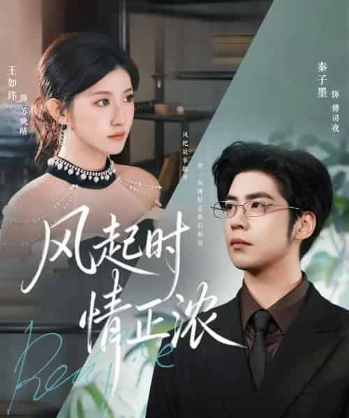 风起时情正浓（79集全）秦子墨＆王如玮＆洪乔-海之城短剧项目