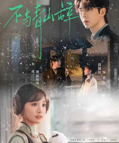 不与青山辞（78集全）卡戎＆贾翼瑄-海之城短剧项目