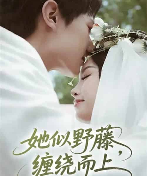 她似野藤，缠绕而上（51集全）万烽＆李文茹-海之城短剧项目