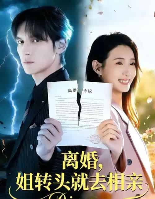 离婚，姐转头就去相亲（80集全）郧怡静＆于散-海之城短剧项目