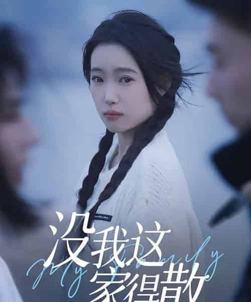 没我这家得散（42集） - 海之城短剧