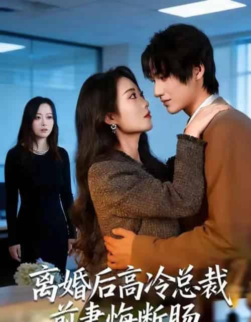 离婚后高冷总裁前妻悔断肠（80集全）王禹桐＆杨舒婷-海之城短剧项目