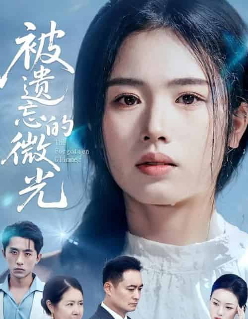 被遗忘的微光（48集）-海之城短剧项目