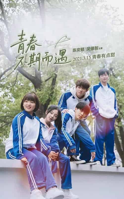 青春不期而遇（50集）陈奕颖 - 海之城短剧