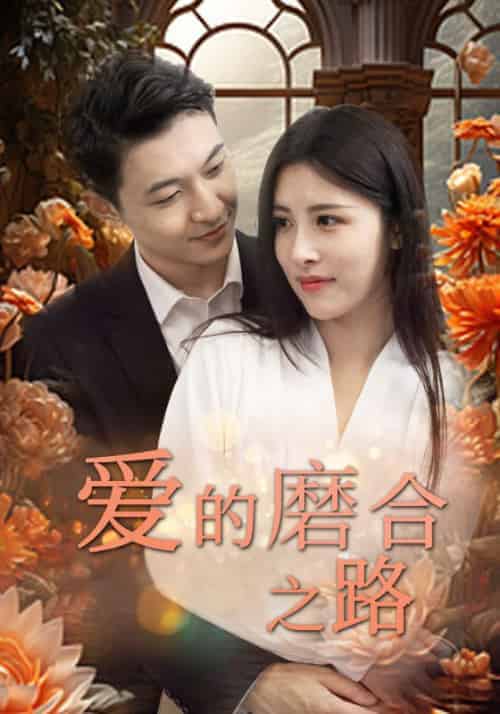 爱的磨合之路（73集全）南宫炎＆沐婉 - 海之城短剧
