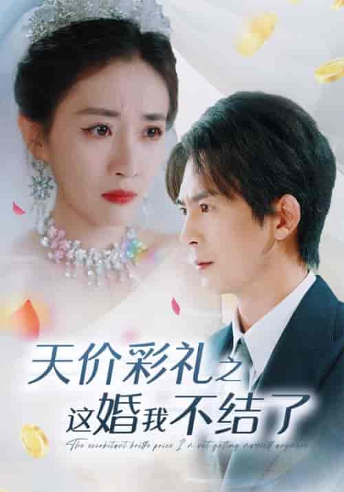 天价彩礼之这婚我不结了（32集全）林小北＆吴美娜 - 海之城短剧