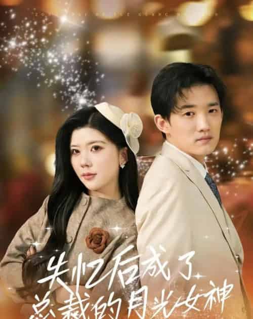 失忆后成了总裁的月光女神（60集全）吴炫汶＆耿熙呈-海之城短剧项目
