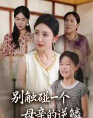 别触碰一个母亲的逆鳞（33集全）苏梦雅-海之城短剧项目