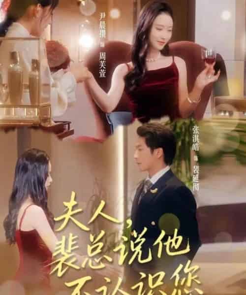 夫人裴总说他不认识您（75集全）张淇皓＆尹晨攒-海之城短剧项目