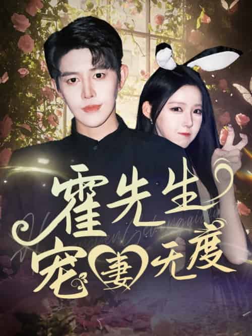 霍先生宠妻无度（87集全）王朝阳＆崔晓曼 - 海之城短剧